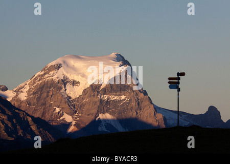 Todi, der höchste Berg in den Glarner Alpen, 3614 m, beleuchtet von den ersten Sonnenstrahlen mit einem Schild im Vordergrund Stockfoto