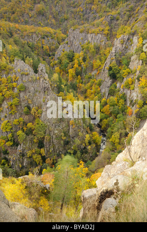 Blick auf das Bodetal-Tal aus Rosstrappe Granit Felsen im Herbst, Sachsen-Anhalt, Deutschland, Europa Stockfoto