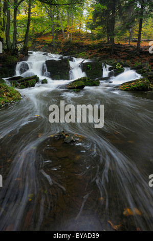 Wasserfall im Selketal Tal im Herbst, Harz-Gebirge, Sachsen-Anhalt, Deutschland, Europa Stockfoto