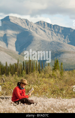 Junge Frau, ein Buch zu lesen, relaxen, sitzen in den Rasen, Wollgras, Northern Mackenzie Mountains hinter Wind River Stockfoto