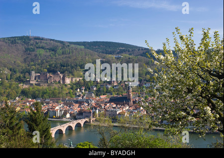 Blick auf die Stadt vom Philosophen Walk, Heidelberg, Neckar, Pfalz, Baden-Württemberg, Deutschland, Europa Stockfoto