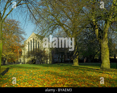 13. Jahrhundert Minster Library aus Deans Park im Herbst York North Yorkshire England Vereinigtes Königreich GB Großbritannien Stockfoto