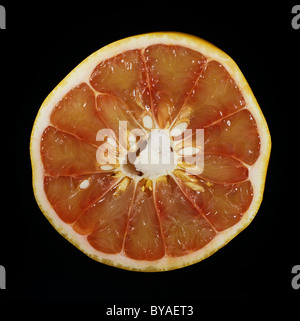 Schnitt prall rosa Pampelmuse, Pomelo oder Pommelo Obst Stockfoto