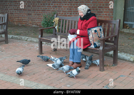 Ältere Frau Fütterung Vögel, vor allem verwilderte Tauben im Park.de. Stockfoto