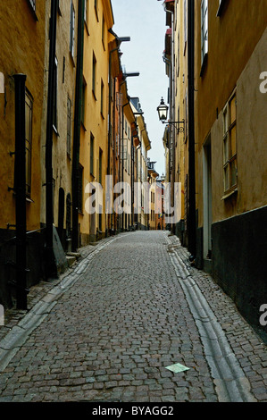 Die hohen mittelalterlichen Häusern und schmalen gepflasterten Straße von Prastgatan, "The Priest Street", Gamla Stan, Altstadt, Stockholm Stockfoto