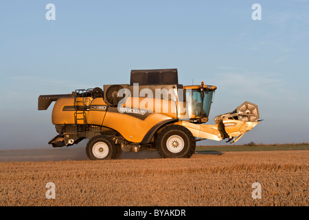 Neues Holland CX880 Mähdrescher bei der Arbeit in Oxfordshire-England Bereich. JMH4740 Stockfoto