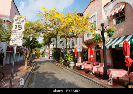 Restaurants auf der Espanola Way, South Beach, Miami, Tabebuia Baum Stockfoto