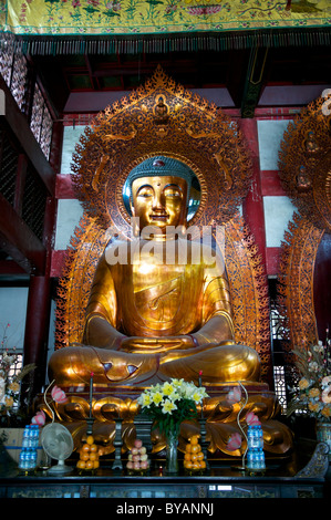 Goldenen Buddha sitzen im Tempel der sechs Banyanbäume Stockfoto