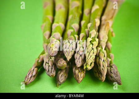 Ihre grünen - frischen organischen grünen Spargelspitzen und Stiele, rohe Kochkunst Zutat zu essen Stockfoto