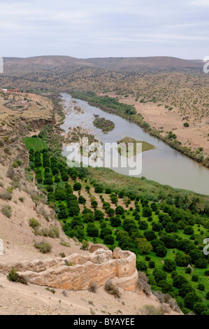 Wüstenlandschaft mit den alten Ruinen Boulaouane am Fluss Oued Oum, Marokko, Afrika Stockfoto