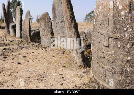 Stein-Stelen mit Reliefs, UNESCO-Weltkulturerbe, Tiya, Äthiopien, Äthiopien, Südafrika Stockfoto