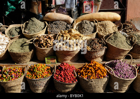 Bunte Blumen zum Verkauf an ein Stall, Marrakesch, Marokko, Afrika Stockfoto