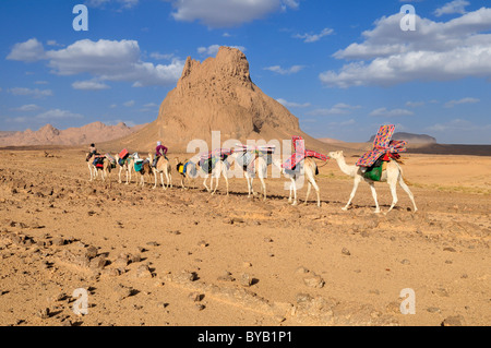 Gruppe von Kamelen, Caravane, in die Vulkanlandschaft des Ahaggar Berge, Wilaya Tamanrasset, Algerien, Hoggar, Sahara Stockfoto