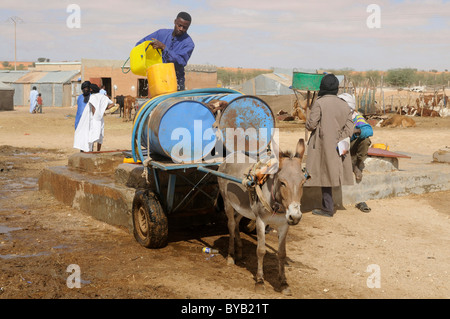 Wassertransport Mit Esel Und Wagen Turmi Omo Tal Athiopien