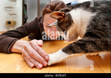 Junge Frau mit alten Kater auf dem Boden spielen Stockfoto