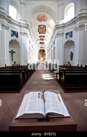 Das Kollegiatstift Neumuenster Stiftskirche, Bistum Würzburg, Kardinal-Döpfner-Platz-Platz, Würzburg, Bayern Stockfoto