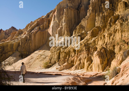 Parkranger zu Fuß durch Sandstein Felsen Formationen, Tsingy Ankarafantsika Nationalpark, Madagaskar, Afrika Stockfoto