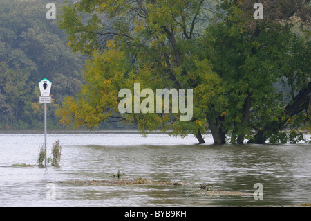 Überschwemmungen in den Wiesen des Flusses Elbe in der Nähe von Dessau, Mittlere Elbe Biosphärenreservat, Sachsen-Anhalt, Deutschland, Europa Stockfoto