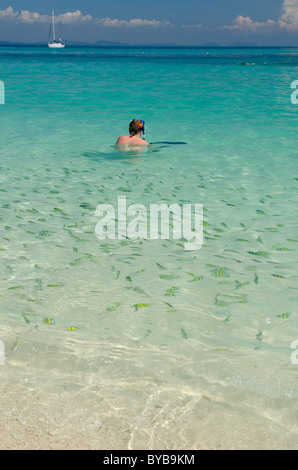 Phuket Thailand, Andamanen See. Pho Phi Inseln, Bamboo Island (Ko Phai). Schwimmer mit tropischen Fischen im warmen flachen Wasser. Stockfoto