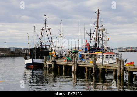 Angelboote/Fischerboote im Hafen von Sassnitz, Rügen, Mecklenburg-Western Pomerania, Deutschland, Europa Stockfoto