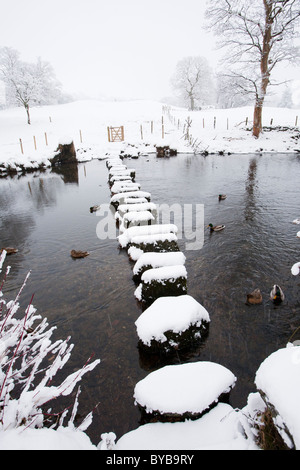 Trittsteine über den Fluß Rothay, unter Loughrigg, in der Nähe von Ambleside, Lake District, Großbritannien. Stockfoto