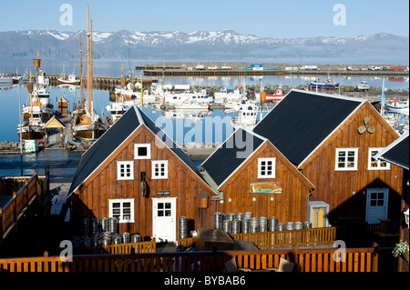 Fischereihafen und Angelboote/Fischerboote, hölzerne Häuser am Hafen, Husavik, Island, Skandinavien, Nordeuropa, Europa Stockfoto