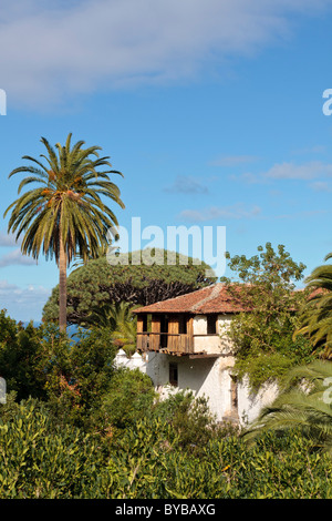 Das Haus, verbunden mit der spanischen Inquisition neben dem Drago Millenario Baum in Icod de Los Vinos, Teneriffa, Stockfoto