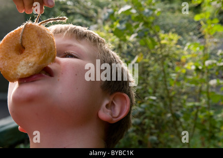 Kind essen einen Donut aus einer Zeichenfolge Stockfoto