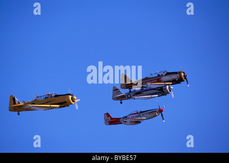 T-6 Texaner (aka Harvard Mk IV) und P - 51D Mustang fliegen, Abbotsford International Airshow, BC, Britisch-Kolumbien, Kanada Stockfoto