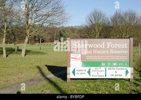 Sherwood Wald im winter Stockfoto