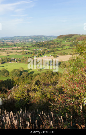 Auf der Suche nach Nordosten auf die Cotswold Böschung am Frocester-Hügel von der Spitze des Cam Long Down, Gloucestershire Stockfoto