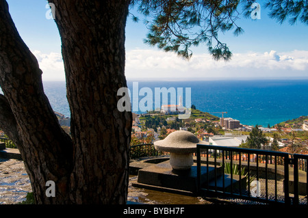 Blick über die Stadt Funchal, Madeira, Portugal, Europa Stockfoto