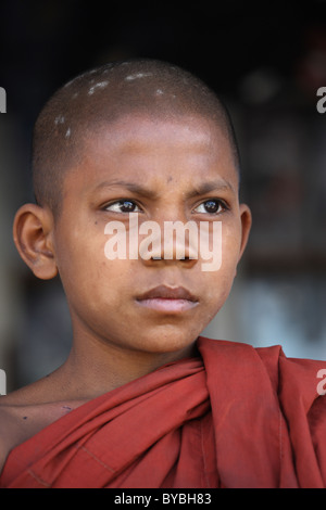 Burma, Birma, Myanmar, 20110123, Neuling in Myanmar Stockfoto