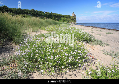 Greenen Sie Burg in der Nähe von Ayr an der Küste von Ayrshire Stockfoto