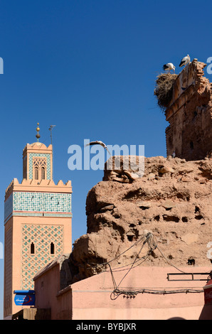 Minarett der Kasbah Moschee mit fliegen und nisten Weißstörche auf blauen Himmel in der Ruine der Medina von Marrakesch, Marokko Stockfoto