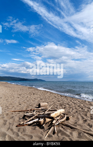 Maremma-Naturpark / Marina di Alberese, Toskana, Italien Stockfoto