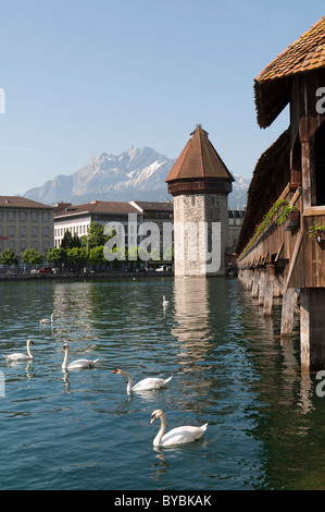 Kapellbrücke Luzern Schweiz / Kappelbrücke Luzern Schweiz Stockfoto