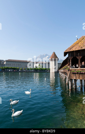 Kapellbrücke Luzern Schweiz / Kappelbrücke Luzern Schweiz Stockfoto