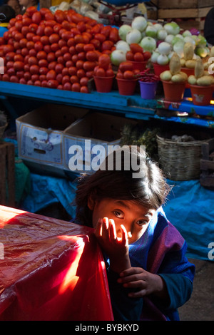 Junges Mädchen in der Mercado Municipal, San Cristobal de Las Casas, Chiapas, Mexiko Stockfoto