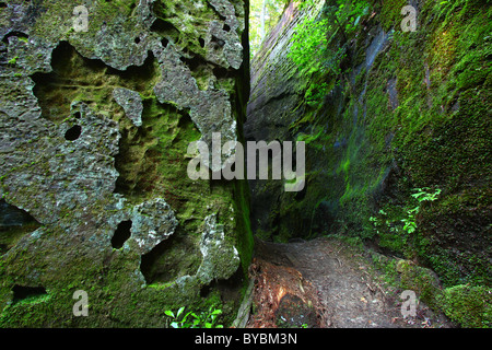 Moosigen Canyon in Alabama Stockfoto