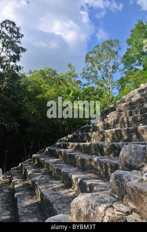 Stufen der Pyramide Nohoch Mul bei den Maya-Ruinen von Coba Yucatan Mexiko Stockfoto