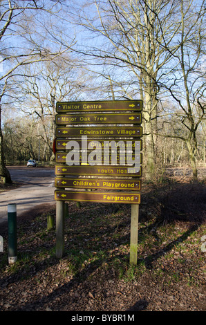 Sherwood Wald im winter Stockfoto