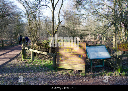 Sherwood Wald im winter Stockfoto