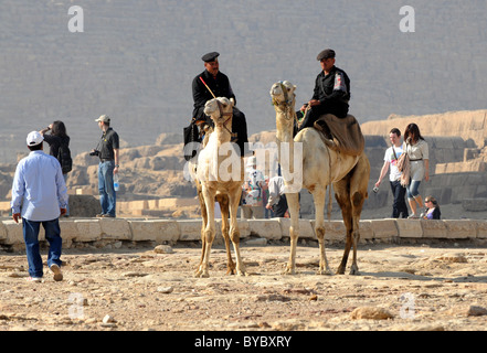 Polizei auf Kamelen von Gizeh in Ägypten. Stockfoto