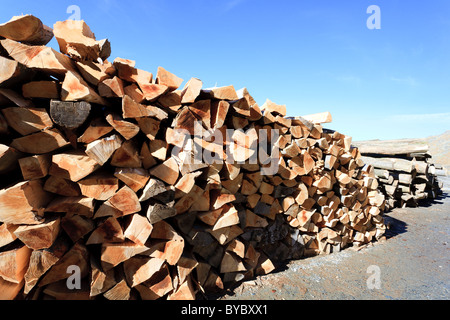 Stapel von Buche Brennholz unter klaren blauen Himmel Stockfoto