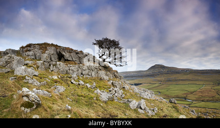 Panoramablick in Richtung Ingleborough Hügel von Twisleton Narbe in der Nähe von Chapel-Le-Dale Ribblesdale in The Yorkshire Dales UK Stockfoto