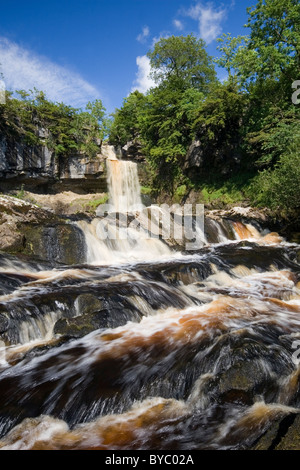 Thornton Force Wasserfall Teil von The Ingleton Wasserfälle Walk an einem sonnigen Sommertag Ingleton Ribblesdale Yorkshire Dales UK Stockfoto