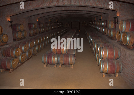 Weinfässer im Keller, Undurraga Weinberg, Maipo Valley, Chile, Südamerika. Stockfoto