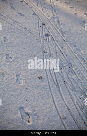 Schritte und Spuren im Schnee Stockfoto