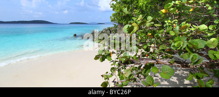 Solomon Beach auf St. John Stockfoto